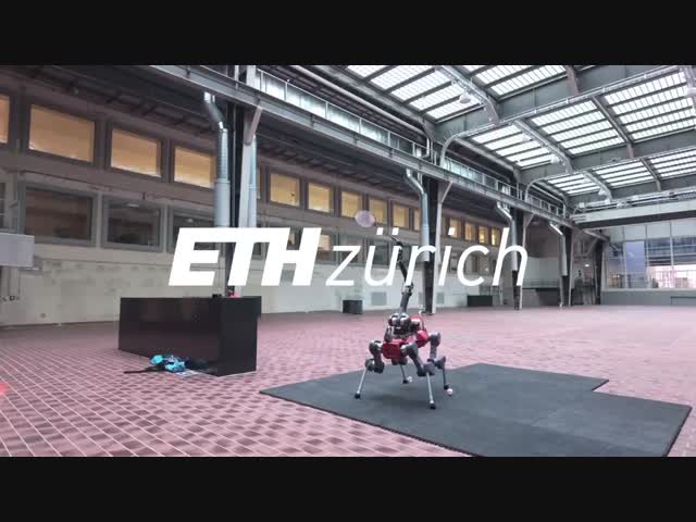 В Швейцарии робособак научили играть в бадминтон!