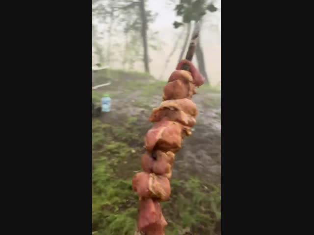 Запоминающийся выезд на шашлыки