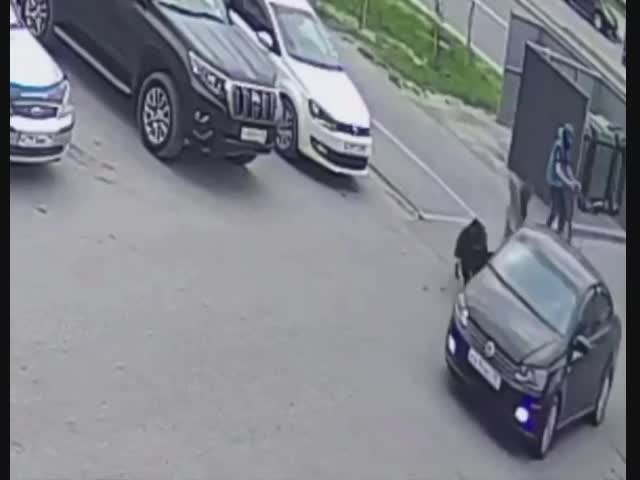 Атака электросамокатчиков