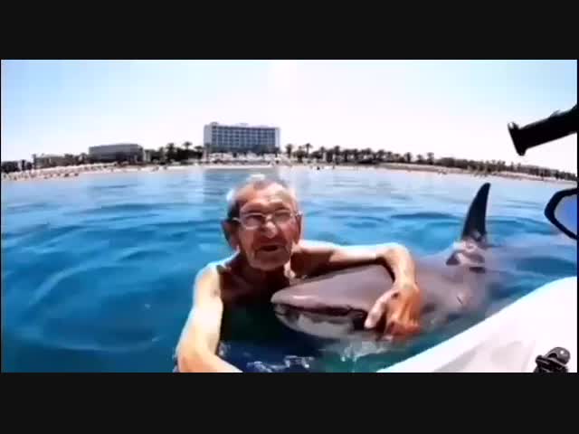 Везучий турист