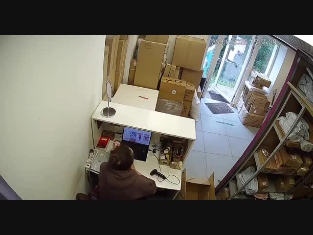 Ручная чайка