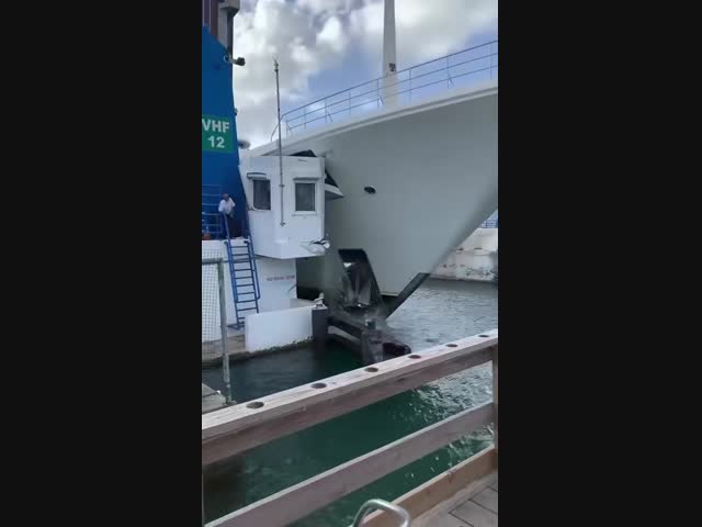 Ничего не может напугать женщин с вином