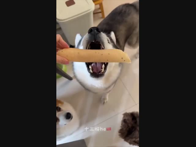 Нахлебники :)