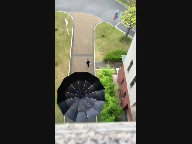 Скинь зонтик! Лови!