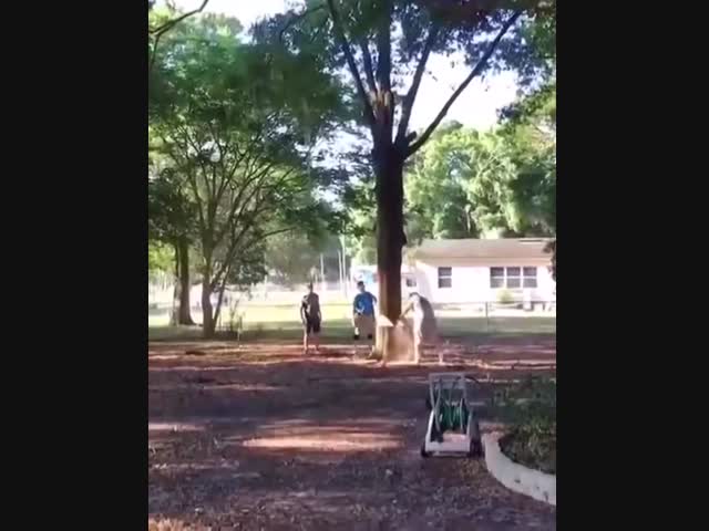 Парень в синей рубашке хотел умереть, а другой хотел жить.