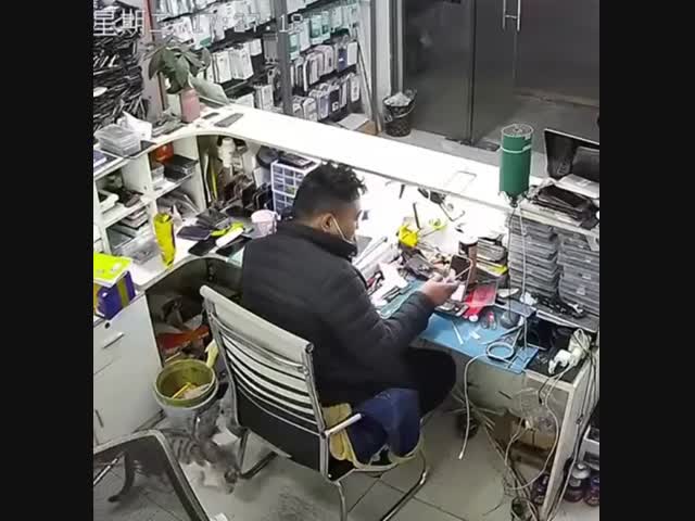 Мышь в офисе