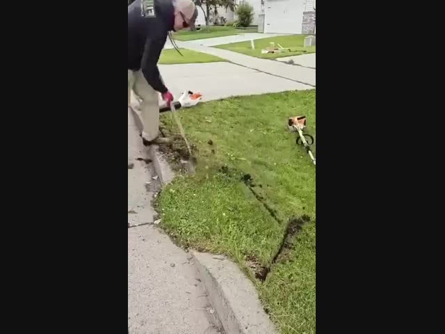 Сатисфэкшон