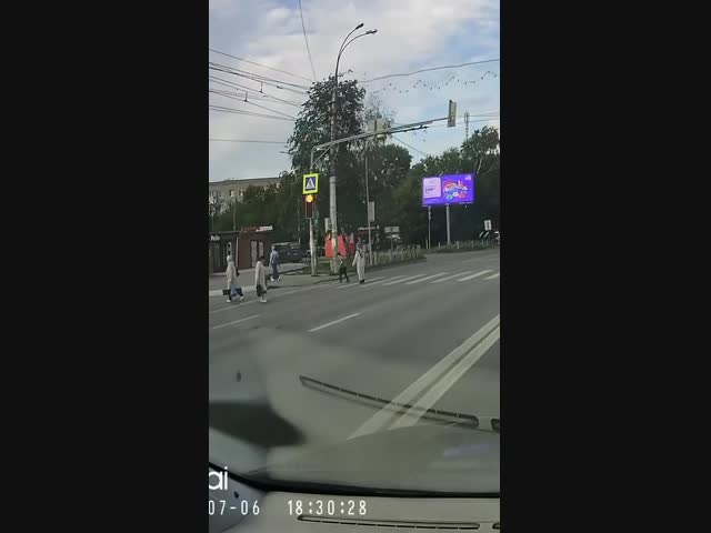 Внутривидовая борьба