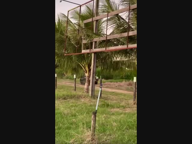 На такой машинке можно парковаться где угодно