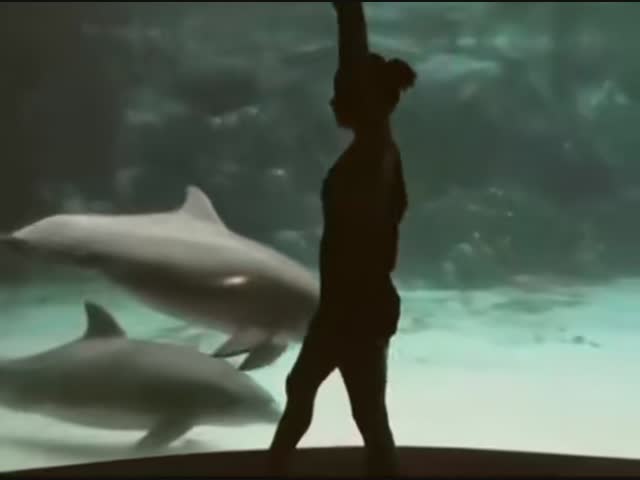 Девушка и дельфин