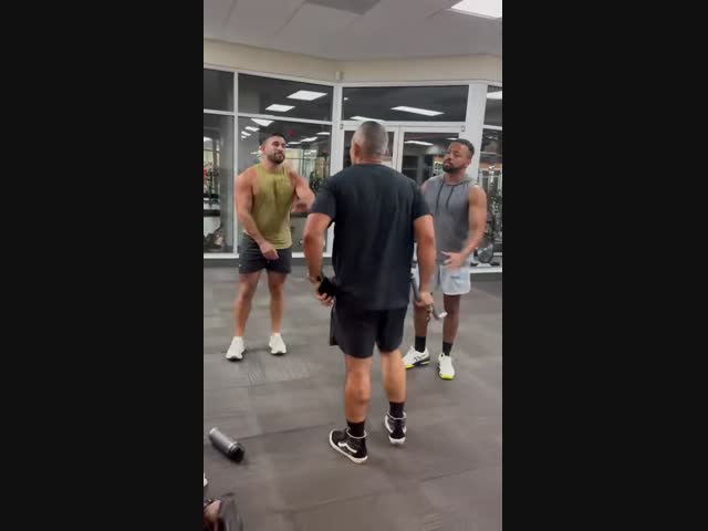 Качки поссорились