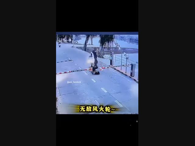 Приключения двухколесных