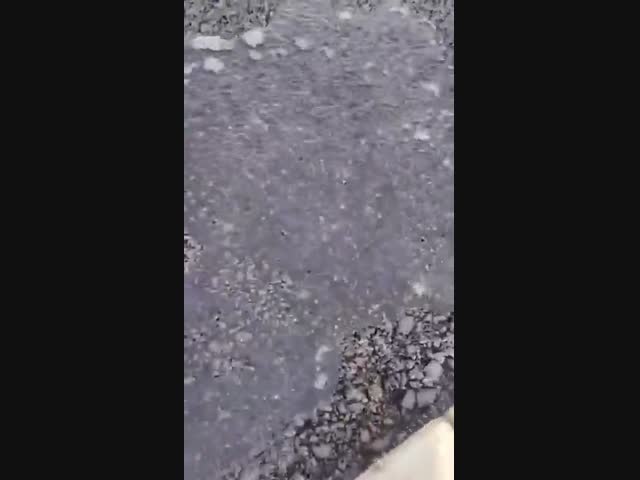 Вот что значит настоящая жара