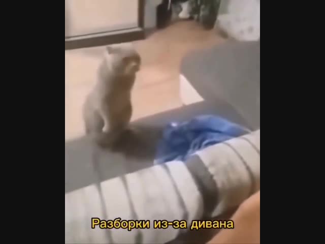 Четко дал понять свою позицию