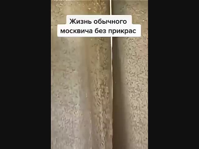 Истинная правда!