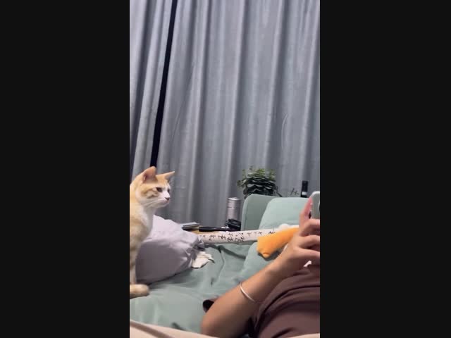 Что она там увидела?:)