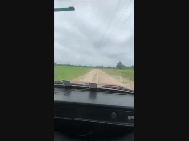 В диком поле стоял одинокий столб…