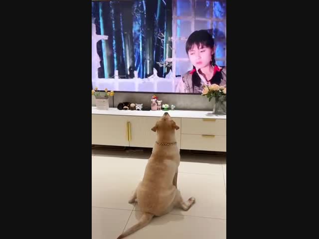 Защитничек:)))