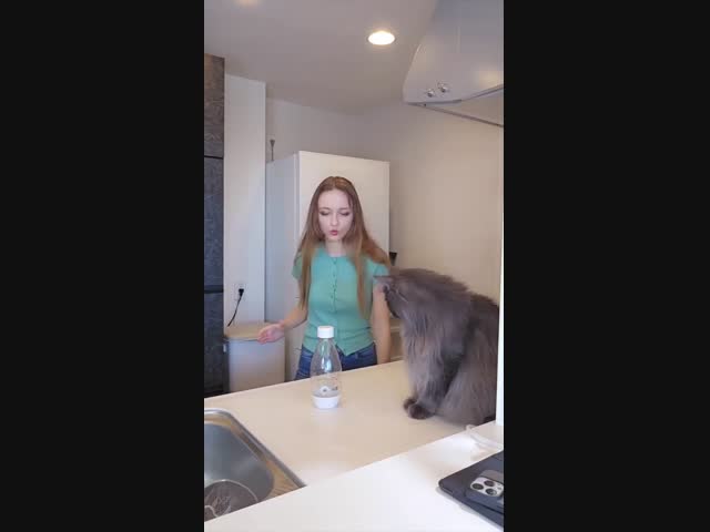 Теперь понятно, зачем нужна эта тренировка