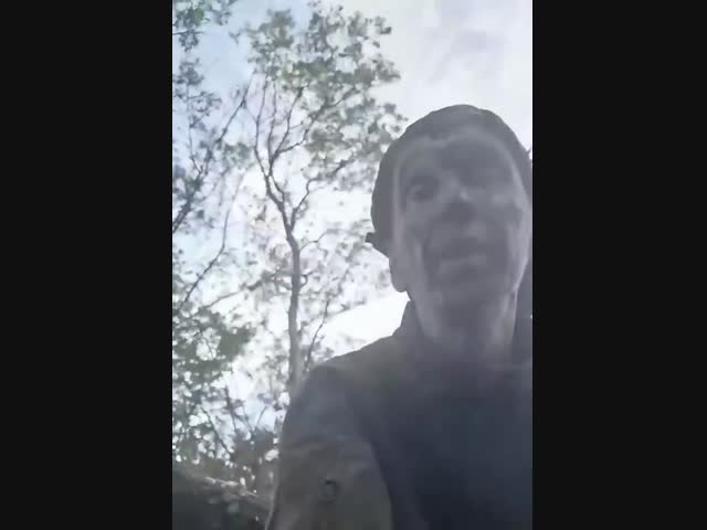 Это надо видеть. Осторожно, жестокие кадры