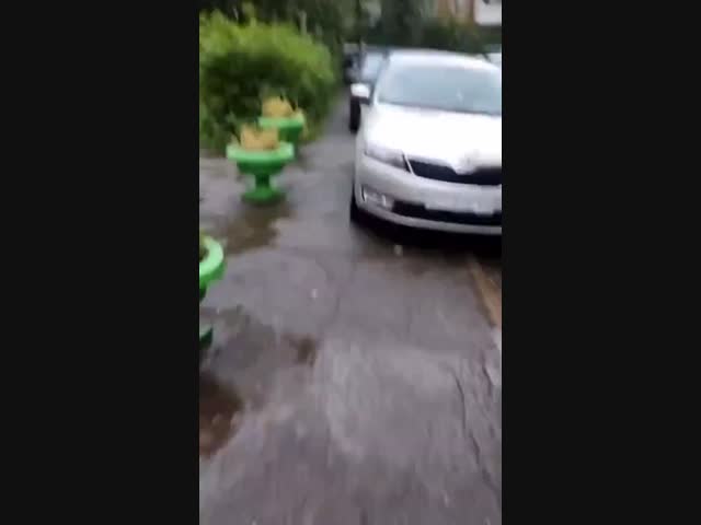 Стадо немешальщиков