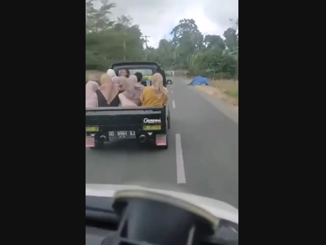 Бедные дамы, испугались