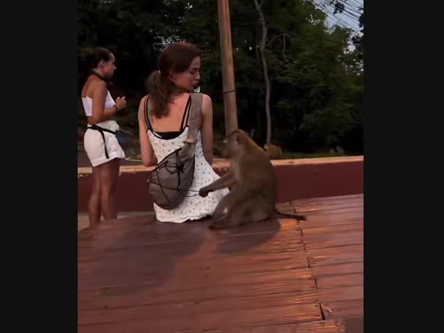 Так начинается эволюция