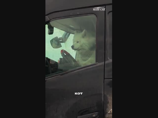 Закрылись от хозяина