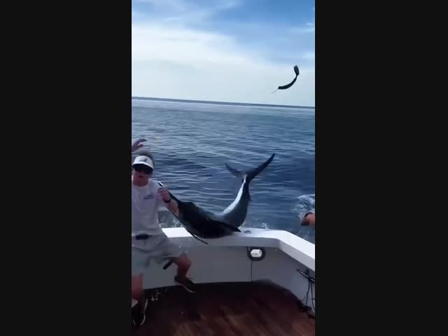 Подборка происшествий на морской рыбалке