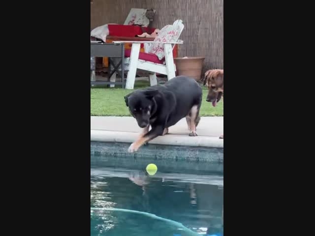 Когда очень хочется поиграть