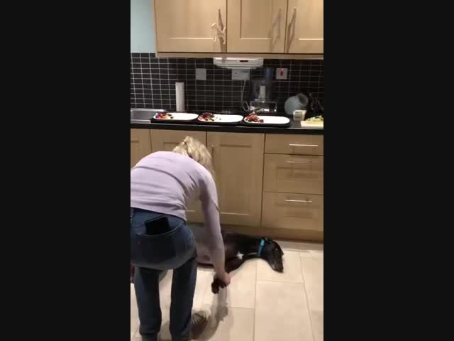 Вместо коврика