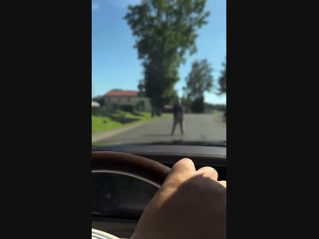 Зомби на дороге