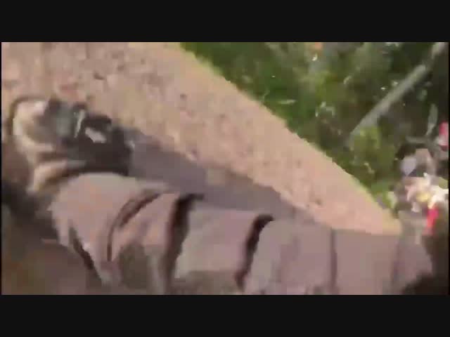 А ведь мог и убить