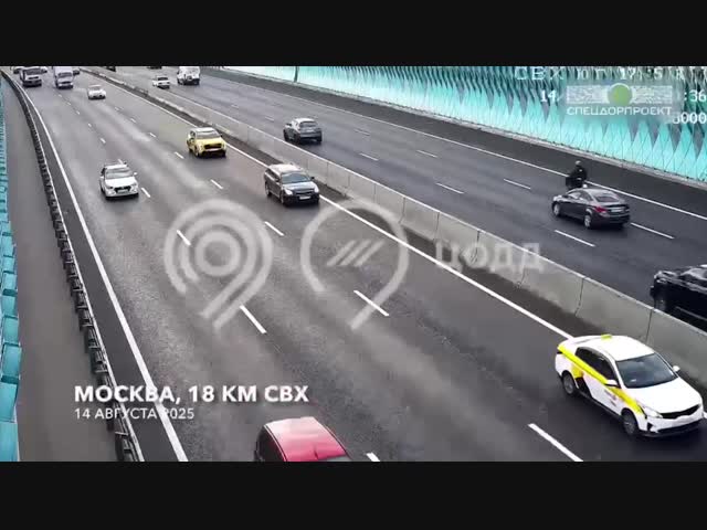 Деньги под ногами