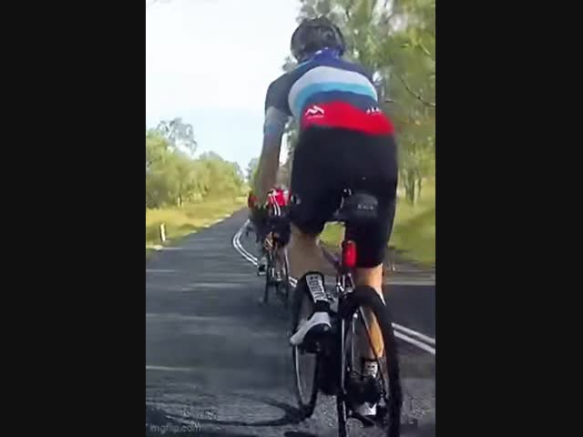 Жизнь в Австралии полна сюрпризов