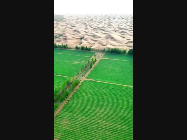 Борьба с пустынями в Китае