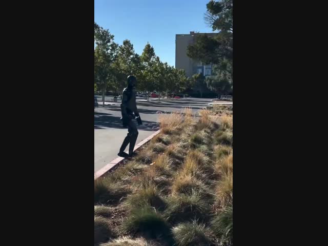 Вылитый Байден