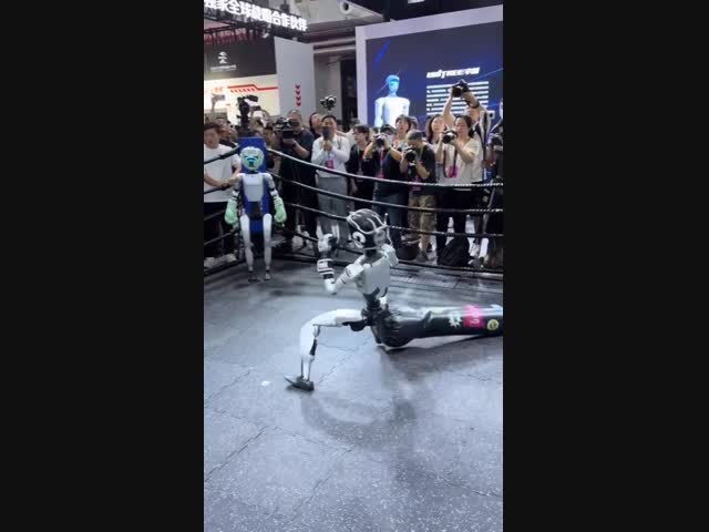 Робот сам себя нокаутировал