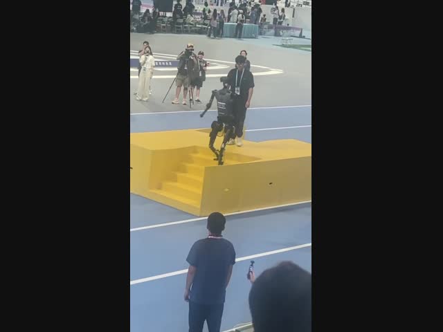 Робот погиб в расцвете лет