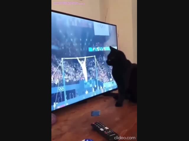 Угроза футболистам