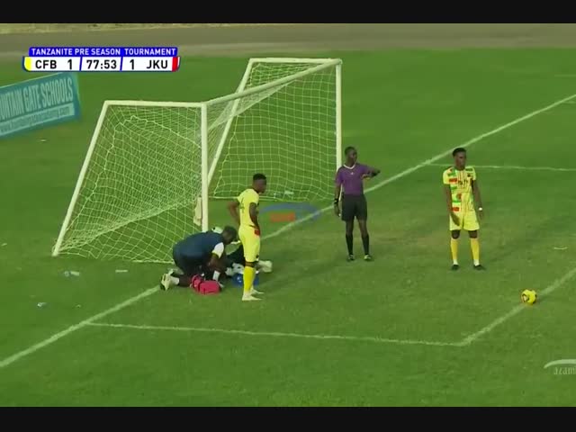 Злые пчёлы на футбольном матче