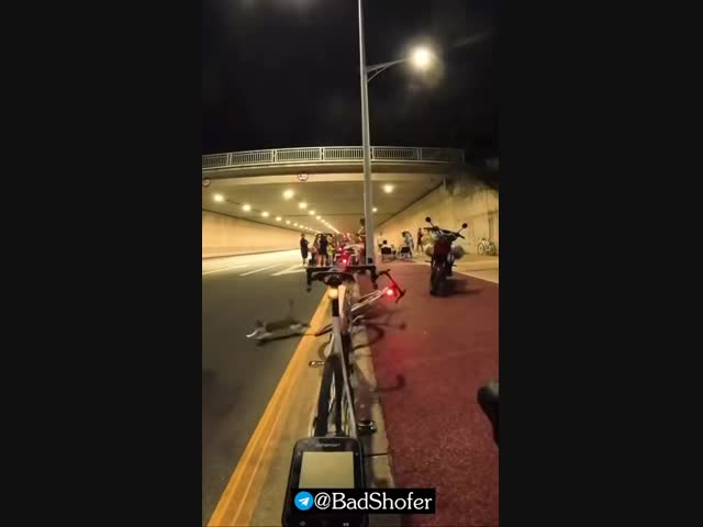 Сумасшедший кошак