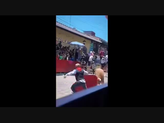 Неудачный день для матадора-любителя