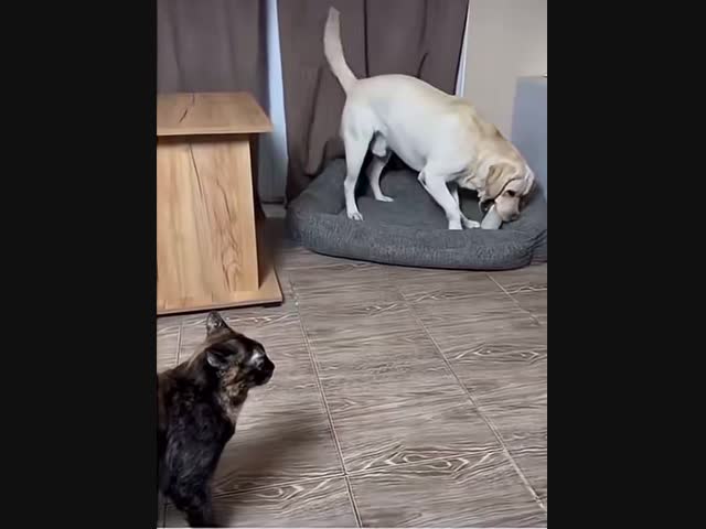 - После 10 вечера не шуметь!!!