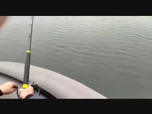 Что за невиданная хрень?