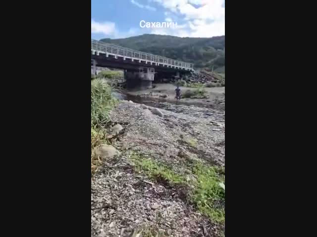 Сахалин, походу браконьеры