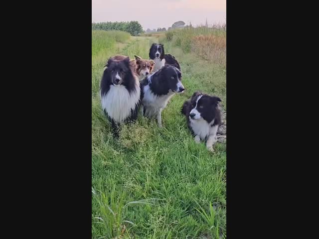 Один, два, три, вперёд!