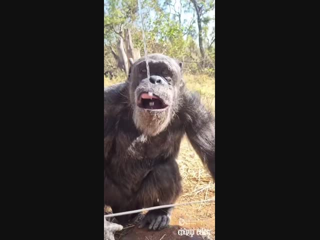 Что вы знаете о жажде?!