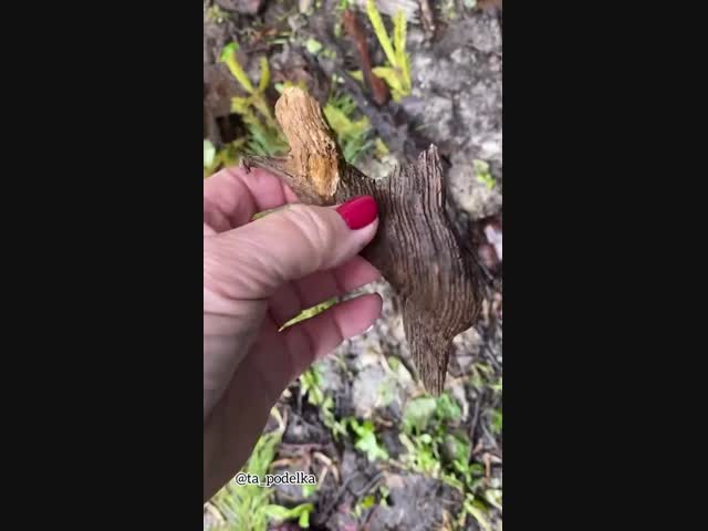 Птичка из Простоквашино