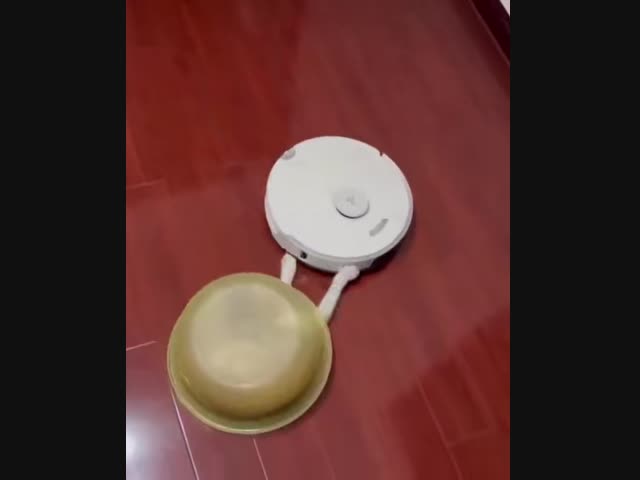 Перехватчик роботов-пылесосов